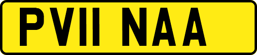 PV11NAA