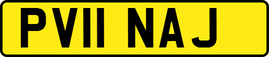 PV11NAJ