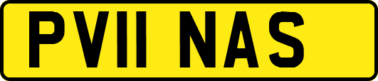 PV11NAS