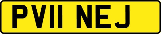 PV11NEJ