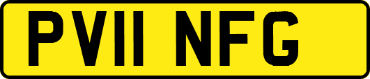 PV11NFG