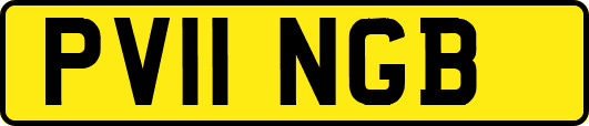 PV11NGB