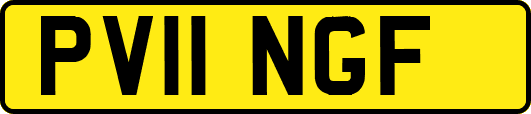 PV11NGF