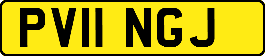 PV11NGJ