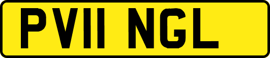 PV11NGL