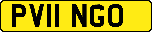 PV11NGO