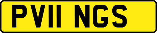 PV11NGS