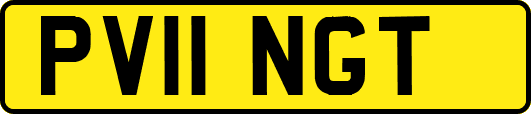 PV11NGT