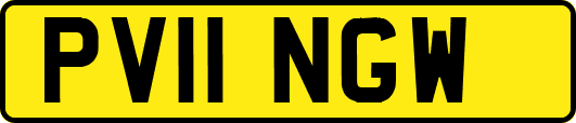 PV11NGW