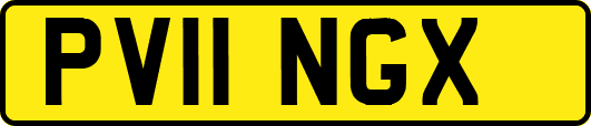 PV11NGX
