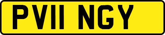 PV11NGY