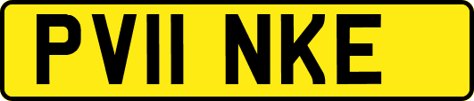 PV11NKE