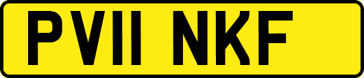 PV11NKF