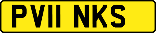 PV11NKS