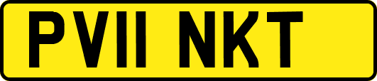 PV11NKT