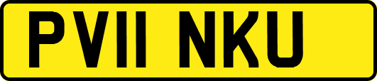 PV11NKU