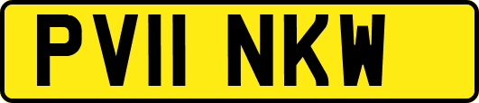 PV11NKW