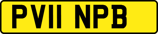 PV11NPB