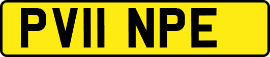 PV11NPE
