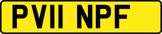 PV11NPF