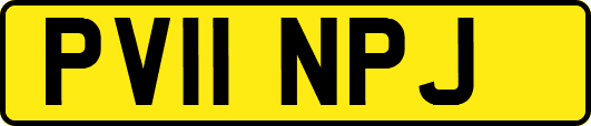 PV11NPJ
