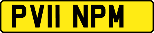 PV11NPM