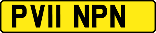 PV11NPN