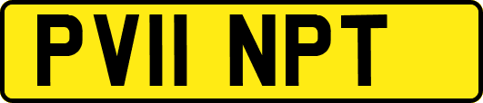 PV11NPT