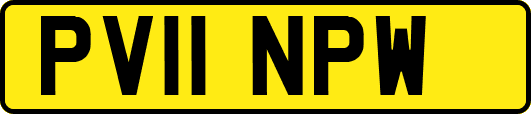 PV11NPW