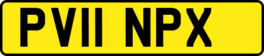PV11NPX