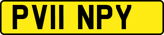 PV11NPY