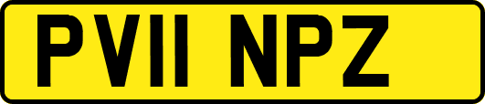 PV11NPZ