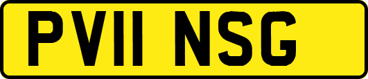 PV11NSG