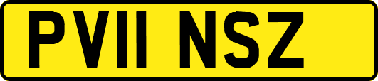 PV11NSZ
