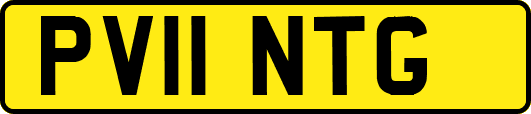 PV11NTG