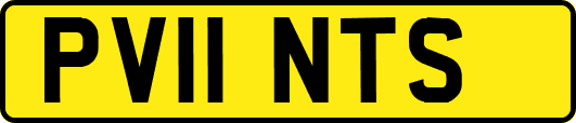 PV11NTS