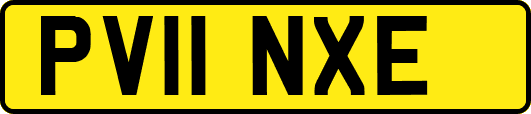 PV11NXE