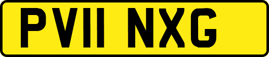 PV11NXG