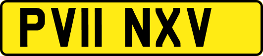 PV11NXV