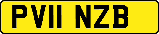 PV11NZB