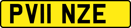 PV11NZE
