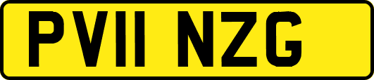 PV11NZG