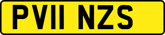 PV11NZS