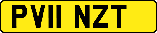 PV11NZT