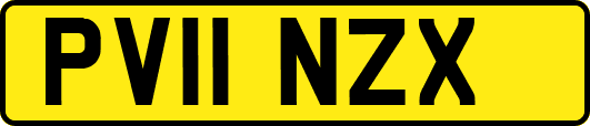 PV11NZX