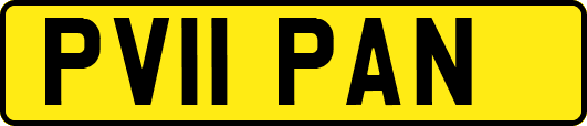 PV11PAN