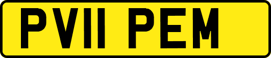 PV11PEM
