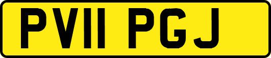 PV11PGJ