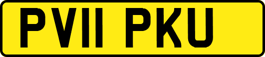 PV11PKU