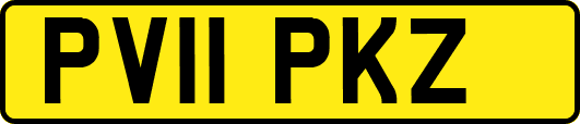 PV11PKZ